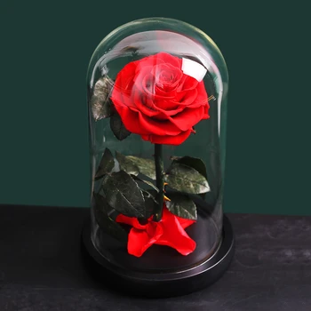 La bella Y La ia Rosa Roja En Frasco de Vidrio Cúpula Sobre Una Base de color Negro Para el Día de la Madre Regalo de Día de san Valentín Eterna Flores
