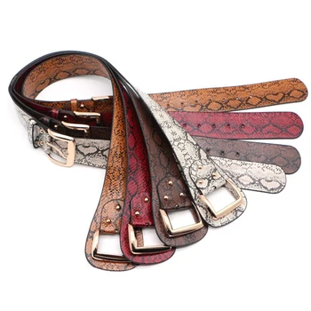 HATCYGGO Serpentina Cinturones Anchos Para las Mujeres de la Vendimia de Cuero de la Correa de la Cintura Femenina Hebilla de Oro Correa de Python Cummerbunds Capa de Accesorios