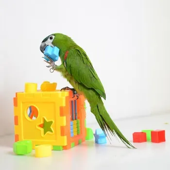Las Aves Mascotas Loro Pájaro De Juguete Suministros De Productos De Rompecabezas De Juguete Para Periquito Periquito Cacatúa Parrot Educativo Accesorios D415