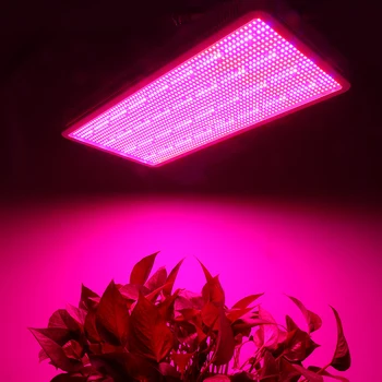 400W 600W 800W 1200W 1600W LED crece las Luces de Espectro Completo Led Hidropónico de Plantas de Crecimiento de las Lámparas del Acuario Crecer Tienda de efecto Invernadero