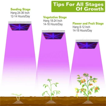 La Iluminación interior de 2000W Crecen la Luz del Panel de Espectro Completo Phytolamp Para las Plantas de Flores de la Lámpara Para Plantas de Led Crecen la Tienda de la UE/US/AU Plug