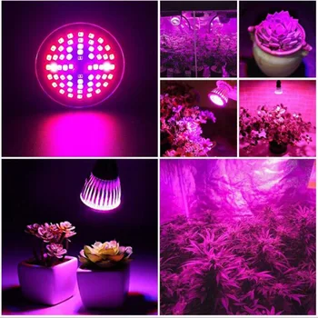 60 LED Planta Crecer Luces de la Bombilla de luz de espectro Completo Creciente UV IR para el sistema hidroeléctrico de interior de flor de verduras crecen tienda cuadro Poderoso