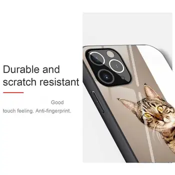 Para el iPhone 11 12 Max Pro Mini XR XS X 8 7 6 6S Plus SE 2020 Caso Lindo del Gato de Cristal Templado Suave de la parte de Atrás del Marco de Cubierta de Coque Fundas Capa