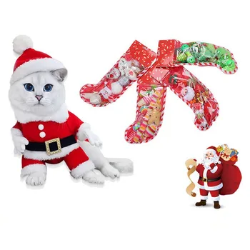 Cómodo Mordida Resistente a Atraer Pelo Atención Kitty Accesorios para Mascotas Navidad Calcetines de Embalaje Gato Conjunto de Juguete Variedad de Juguetes