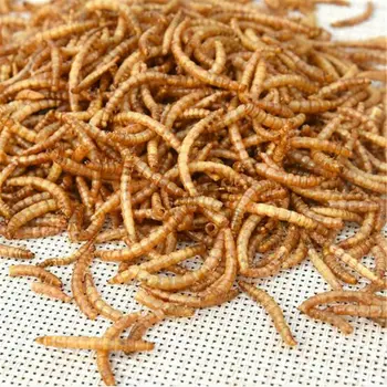 50/100/200 g de liofilizado de gusano de la harina de Hormigas Comida Nutritiva de la Proteína Ant Farm Accesorios Hormiguero Taller de Hámster Pájaro de Pescado Snac