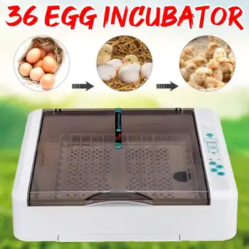 36 Huevos de Incubación de la Incubadora de Granja Clueca Máquina Electrónica Automática de la Incubadora de Herramientas para el Pollo Huevo de Pato de Aves Codorniz Clueca
