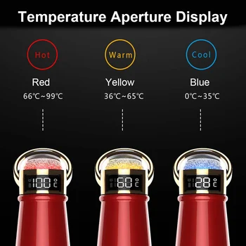 LCD Recordando el Viaje de Calefacción Termo Botella Digital de Acero Inoxidable Inteligente de Agua de la Botella de Vacío Térmico Aislamiento Taza con caja de regalo