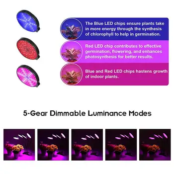 5-Engranaje de Dimmable LED crece la Luz de 360° flexible Espectro Completo crecimiento de la Lámpara de Escritorio del Temporizador Impermeable Para las Plantas de Flores de Interior Crecen Cuadro