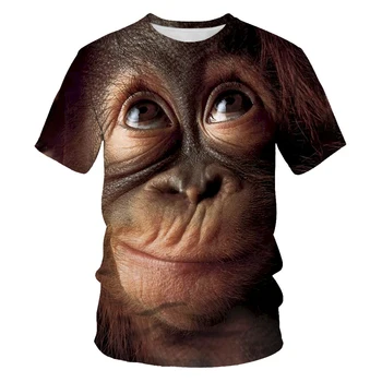 Orangután patrón 3D T-shirt de manga corta de los hombres de verano de la parte superior de la moda animal print 3DT de la camisa de los hombres de la tela cómoda XXS-6XL