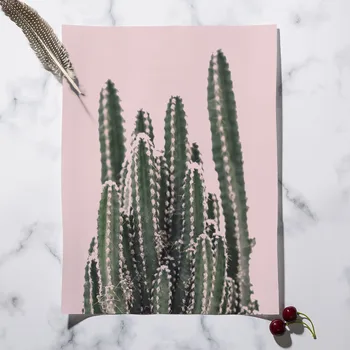 Rosa Verde Cactus Arte De La Pared De La Lona De Pintura De Las Plantas Del Desierto Nórdicos Carteles Y Grabados De La Decoración De Las Imágenes De La Pared Para La Sala De Estar Salón