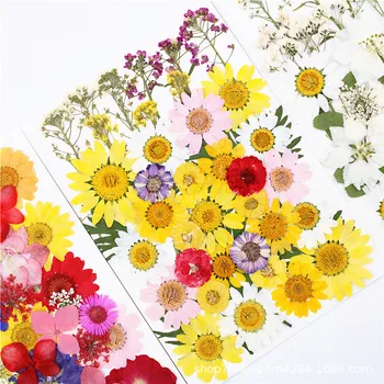 40Pcs Colorido de Prensa Flores Secas Resina Uv Natural de la Flor de la Resina de Material para el BRICOLAJE de la Resina Epoxi de Relleno de las Joyas de la Decoración