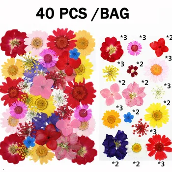 40Pcs Colorido de Prensa Flores Secas Resina Uv Natural de la Flor de la Resina de Material para el BRICOLAJE de la Resina Epoxi de Relleno de las Joyas de la Decoración