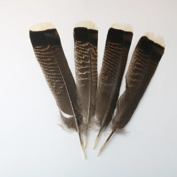 50 Pcs Natural Águila, Plumas de Ave Para la Artesanía de 25-30cm/10-12 Seleccionados de primera Calidad Plumas de Águila de la Joyería de Bricolaje Decoración