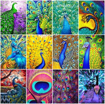 AZQSD Aceite de Pintura Por Números de pavo real de Bricolaje Pintura Por Números Para los Adultos de los Animales del Regalo de la Decoración del Hogar Kits del Arte del Lienzo de Dibujo