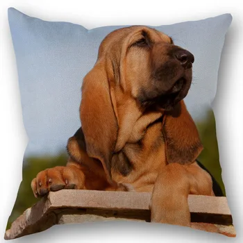Personalizado Sabueso perro Ropa de cama de Algodón Plaza con Cremallera de la funda de Almohada Para la Familia de Personalizar Tu Imagen 45*45cm de BRICOLAJE