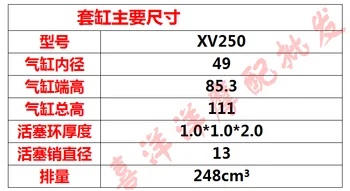 2V49FMM Kit de Cilindro de la Motocicleta de Yamaha Virago XV250 V Star 250 de la Ruta 66 Qianjiang QJ250-H QJ250-L QJ250-J Keeway Cruiser