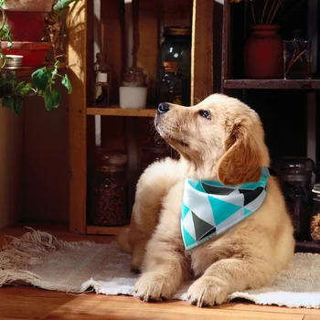 Perro Bandana Cachorro Mascota Pañuelos Baberos Collar De La Bufanda Para Pequeñas Medianas Grandes Perros Accesorios Para Chihuahua Labrador