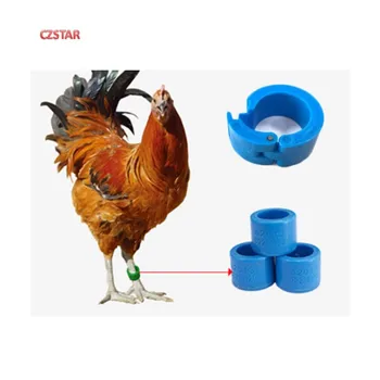 Aves uhf anillo de etiquetas de pie etiquetas reutilizables animal inventario de Animales, con el pichón de loro de pollo, proporcionar la muestra de prueba