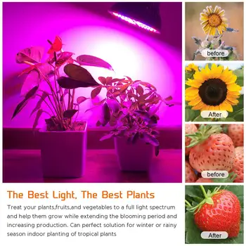 Phytolamp Para Plantas de E27 LED crece las Bombillas de Luz de Espectro Completo Fito de la Lámpara Para el Interior de las Flores de las Orquídeas Fitolamp Fitoalmpy Para la Planta de