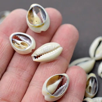 100PCS a Granel Cortar la Cáscara del Mar Cowrie adivinar con caracoles Conchas de la Playa de BRICOLAJE Accesorios de la Joyería de la Decoración AN88