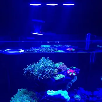 LED Spectra Nano 30W Luz de Acuario de agua Salada de Iluminación con Control Táctil para Peces de Arrecife de Coral Tanque de NOSOTROS Enchufe de la UE