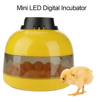 10 Huevos de Gallina Mini LED Digital de la Incubadora de Aves de corral Hatcher Control Inteligente de Codorniz de Incubación de la Herramienta