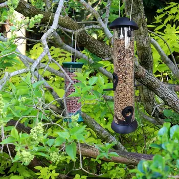 1pc Alimentador de Aves Cubo Colgante Tipo de Jardín al aire libre Colgando Alimentador de Aves al aire libre, Comida para Aves Recipiente Alimentador de Aves (Negro)