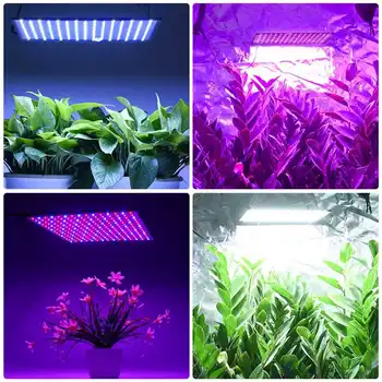 LED de Crecimiento de la Lámpara de 1000W Para Plantas de Led Crecen la Luz de Espectro Completo Fito Lámpara Fitolampy Cubierta de Hierbas Luz De efecto Invernadero Led de Crecer
