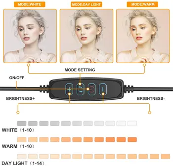 10pulgadas de 160 CM LED Selfie Anillo de luz con soporte ajustable de trípode soporte para teléfono anillo de luz para el Maquillaje de YouTube /Fotografía Tiktok