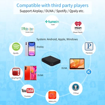 Wireless Wifi Receptor de Audio con DLNA, Airplay Música Recibir Adaptador para iOS y Android tradicionales Altavoces de alta fidelidad de Spotify WR320