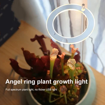 Interior de la Planta del LED crece la Luz de Espectro Completo Fito Creciente de la Lámpara USB Phytolamp Para las Plantas de 5V de la Lámpara Para el Crecimiento de las Plantas de Iluminación