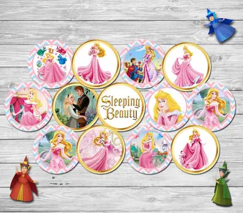 La princesa Aurora Paquete de Parte de la etiqueta Engomada de Cupcake Toppers Bolsa de Sorpresas Topper Cumpleaños Decoraciones de Fiesta de los Niños para el Cumpleaños de Candy Etiqueta