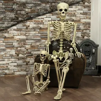 El máximo Proveedor de 1Pcs Halloween Prop Esqueleto Humano Completo Tamaño del Cráneo de la Mano de la Vida Anatomía del Cuerpo de Modelo de Decoración 38x12cm