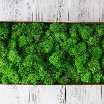 200g/bolsa verde artificial de las plantas inmortal falso flor Moss césped jardín de la casa decorativos de pared DIY flor de la hierba accesorios