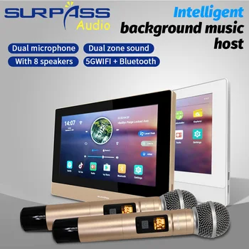 Hogar inteligente de Audio Bluetooth WiFi Pared Amplificador de Android Estéreo de 2*zonas con Mano Wireles Micrófono Amplificador de Karaoke KTV